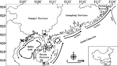 <mark class="highlighted">Ocean Currents</mark> Drove Genetic Structure of Seven Dominant Mangrove Species Along the Coastlines of Southern China